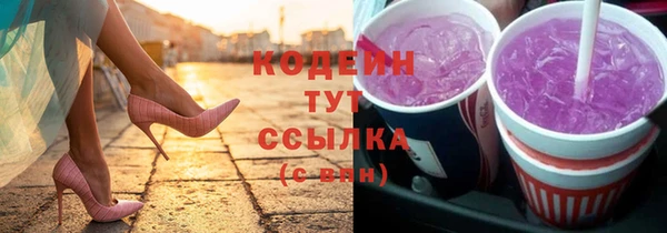 стаф Новозыбков