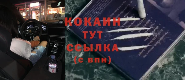 прущие крисы Балахна