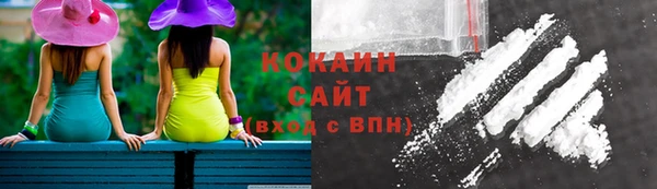 стаф Новозыбков