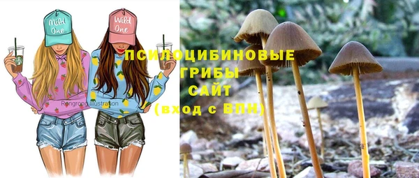 стафф Баксан