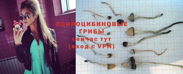 прущие крисы Балахна