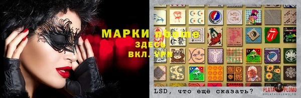 стафф Баксан