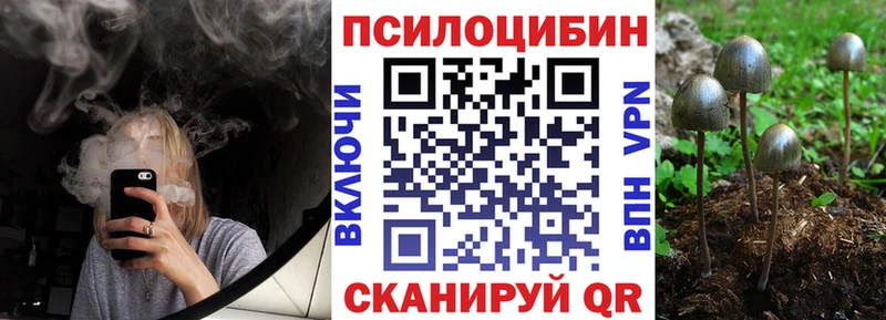 Галлюциногенные грибы мухоморы  дарк нет Telegram  Реутов  где продают  